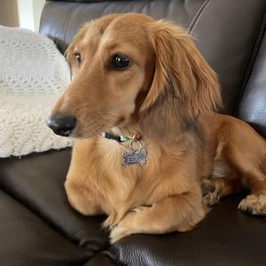 Meet your Posher, Leigha